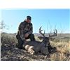 Image 7 : Coues Deer Hunt in Arizona with Diamond Outfitters - 5 Days / 2 Hunters
