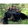 Image 3 : Black Bear Hunt in British Columbia with Omenica Outfitters - 7 Days / 2 Hunters