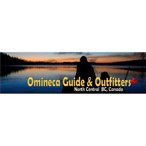 Moose Hunt in BC, Canada, with Omenica Outfitters - 7 Days / 1 Hunter