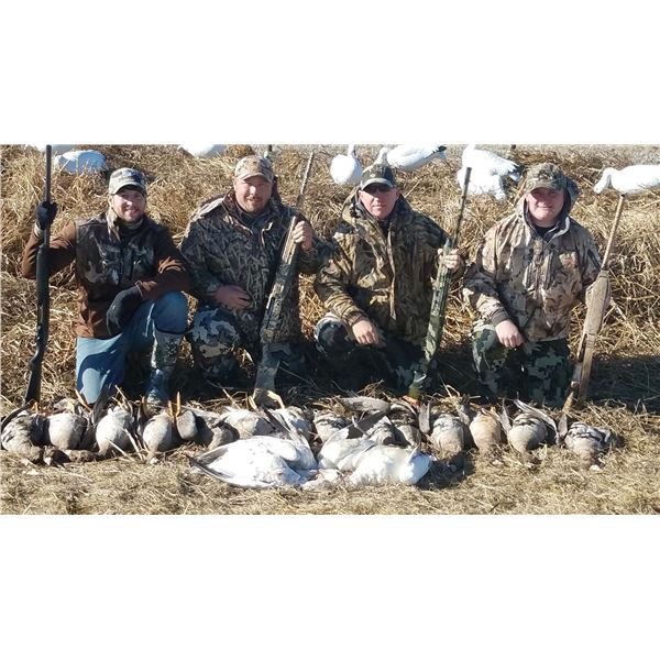 Waterfowl / Goose Hunt in Colusa County, California With Ken Crother - 1 Day / 5 Hunters