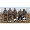 Image 4 : Waterfowl / Goose Hunt in Colusa County, California With Ken Crother - 1 Day / 5 Hunters