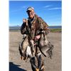 Image 7 : Waterfowl / Goose Hunt in Colusa County, California With Ken Crother - 1 Day / 5 Hunters