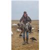 Image 8 : Waterfowl / Goose Hunt in Colusa County, California With Ken Crother - 1 Day / 5 Hunters