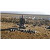 Image 9 : Waterfowl / Goose Hunt in Colusa County, California With Ken Crother - 1 Day / 5 Hunters