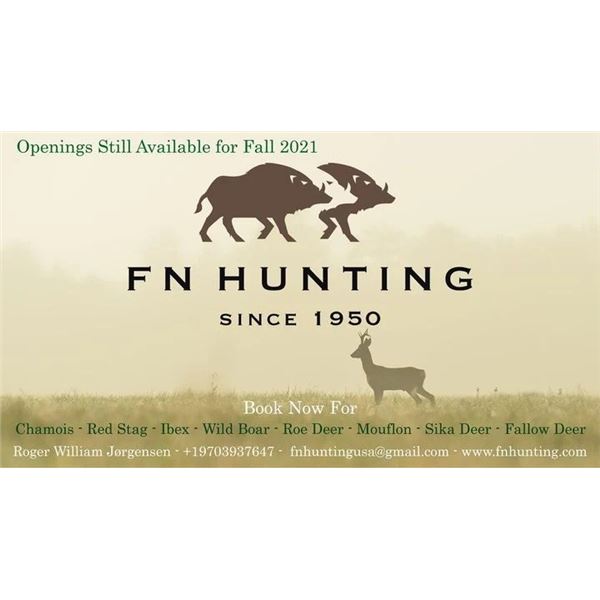 Fallow Deer Hunt in Hungary with FN-Hunting Austria - 5 Days / 1 Hunter