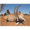Image 2 : Plains Game Hunt in Africa with Graham Sales Safaris - 7 Days / 2 Hunters