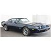 Image 5 : 1979 Pontiac Firebird Formula 455 Coupe
