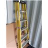 Image 2 : Featherlite Step Ladder Cat C