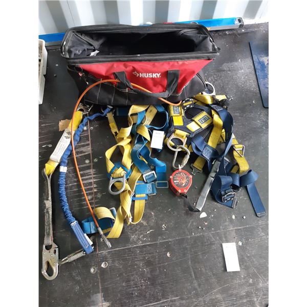 Sala Harness & Safety Straps Cat C