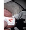 Image 4 : TY Beanie Babies Cat B