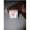Image 10 : TY Beanie Babies Cat B