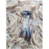 Image 2 : NEW-VINTAGE CANADIAN - Lusterized Sheep Skin & Fur Handbag with Bone Shaped Button Closure & Macrame