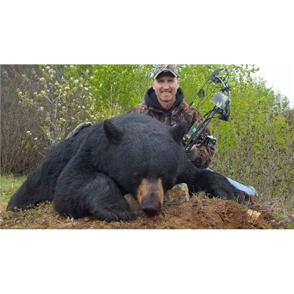 Manitoba Black Bear Hunt