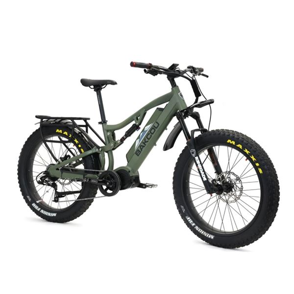 Bakcou Storm Ebike