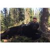Image 2 : Northern Alberta Black Bear Hunt