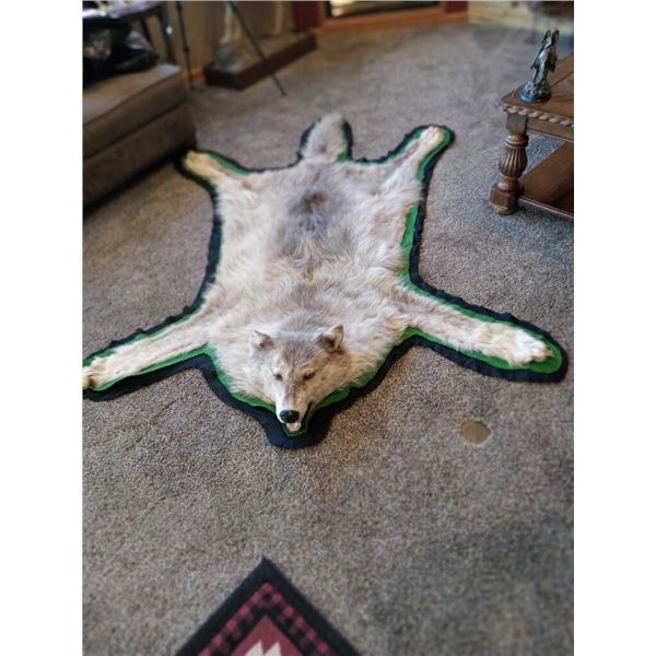 Alaskan Tanned wolf rug