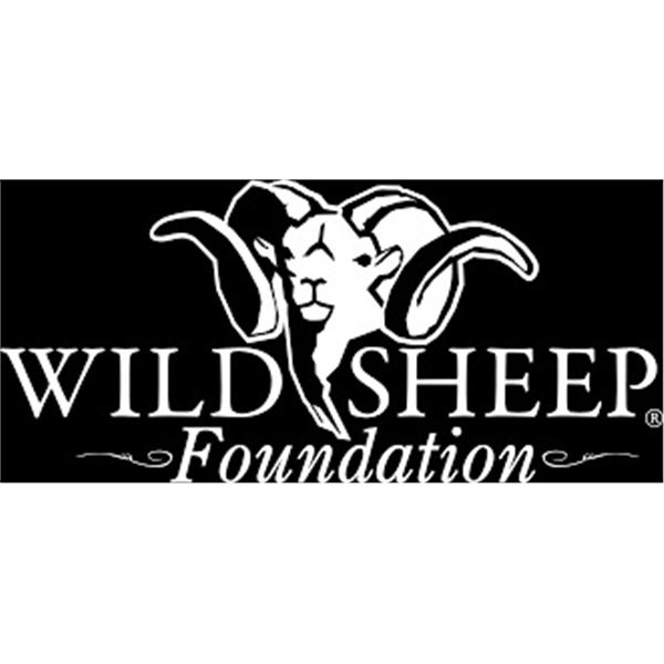 WSF Registration 1 Couple