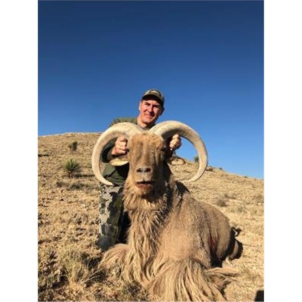 Texas Aoudad Ram Hunt for 1 hunter ram hunter and 1 ewe hunter