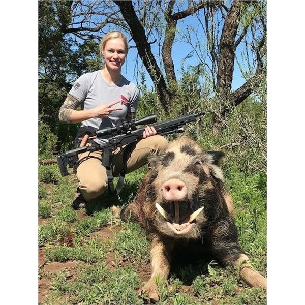 Texas Pig Hunt for 2 Hunters 2 days