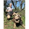Image 1 : Texas Pig Hunt for 2 Hunters 2 days