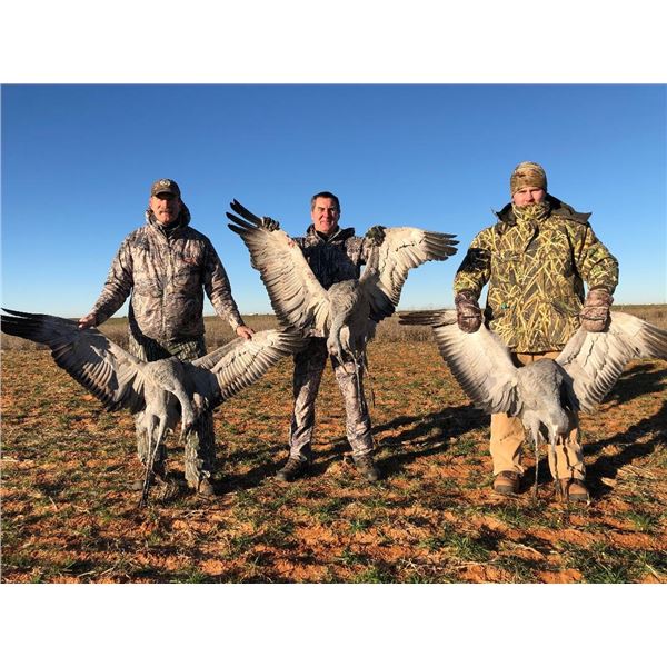 Crane Hunt for 4 hunters 1 day