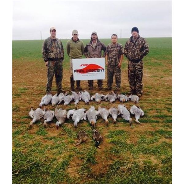 Crane Hunt for 4 hunters 1 day