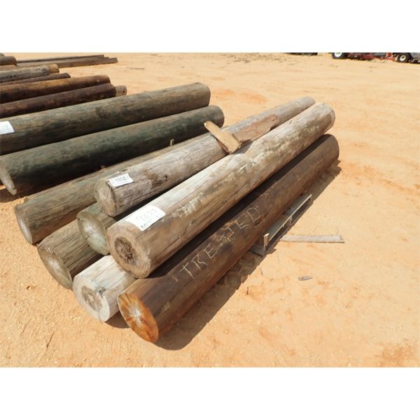(6) 10' TREATED POST (C4)