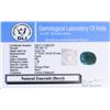 Image 4 : 376.10ct Oval Cut Green Natural Emerald GLI