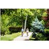 Image 1 : LIVE: Staycation in the City of Trees