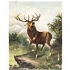 Image 2 : Western Paintings of Elk in Montana Rockies (2)  [148663]