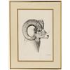 Image 1 : Big Horn Ram Limited Edition Print by Jan Gunlock  [133282]