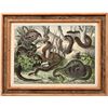 Image 2 : Reptile Prints 19th Century  (2)  [146585]