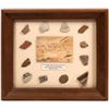Image 1 : Anasazi Pottery Shards  [147042]