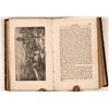 Image 2 : Mexican War History  [147244]