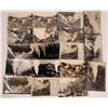 Image 1 : Sonoma Co. Geysers: Old Real Photo Postcards (18)  [142492]