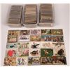 Image 1 : Holiday Postcard Bonanza (Over 2000)  [142574]