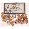 Image 1 : Montana Arrowheads, Artifacts, Teeth and Fossils  [147679]