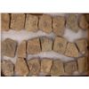 Image 1 : Drepanura Trilobite Fossils, Shandong Province  [147880]