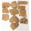 Image 1 : Drepanura Trilobite Fossils, Shandong Province  [147893]