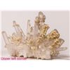 Image 2 : Quartz in Various Forms - 15  [147820]
