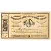 Image 1 : Lexington Consolidated Gold & Silver Mining Company Stock  [144024]