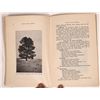 Image 2 : Montana State Forrester Biennial Reports (2)  [147371]