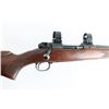 Image 5 : Winchester Pre-64 Mdl 70 Featherweight .243