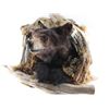 Image 2 : Bear Head Mount