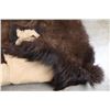 Image 2 : Buffalo Hide Rug