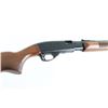 Image 4 : Remington 572 'Fieldmaster' .22 S/L/LR NVSN