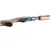 Image 5 : Remington 572 'Fieldmaster' .22 S/L/LR NVSN