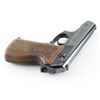 Image 5 : Renato Gamba/Interarms HSc Super .380 ACP