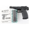 Image 1 : Grendel P30 22 WMR SN: 6985
