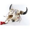 Image 2 : Western Painted Bull Skull